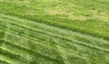 Top-rated residential landscaping for outdoor upgrades across Columbia, TN - Mr. Lawn Care