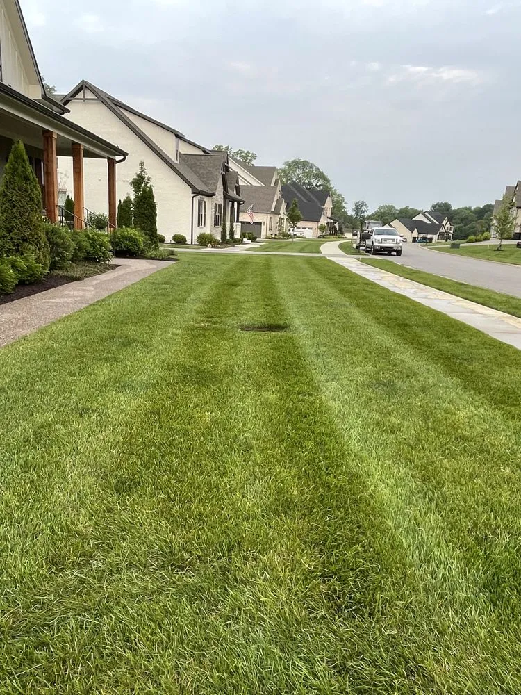 Expert landscape design for outdoor upgrades in Columbia, TN by Mr. Lawn Care