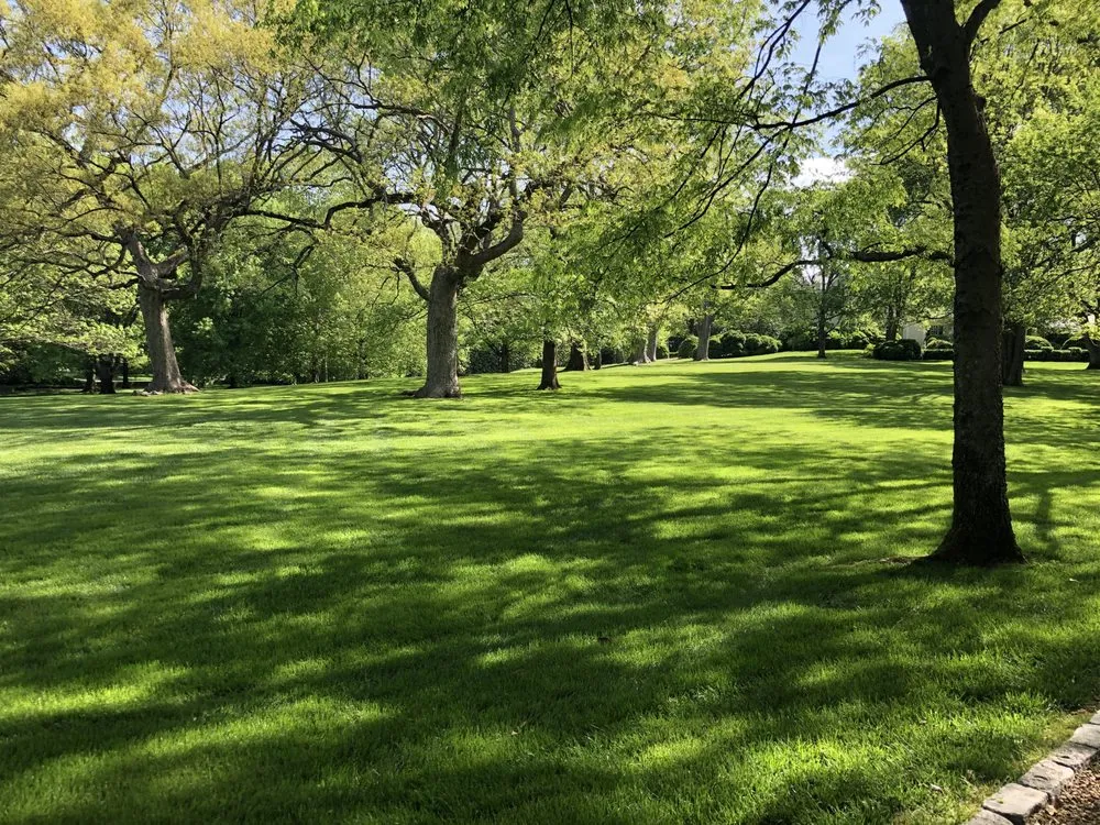 Affordable yard cleanup service in Columbia, TN - Mr. Lawn Care