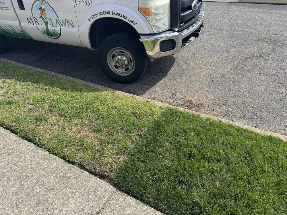 Top-rated outdoor landscaping experts serving Columbia, TN - Mr. Lawn Care