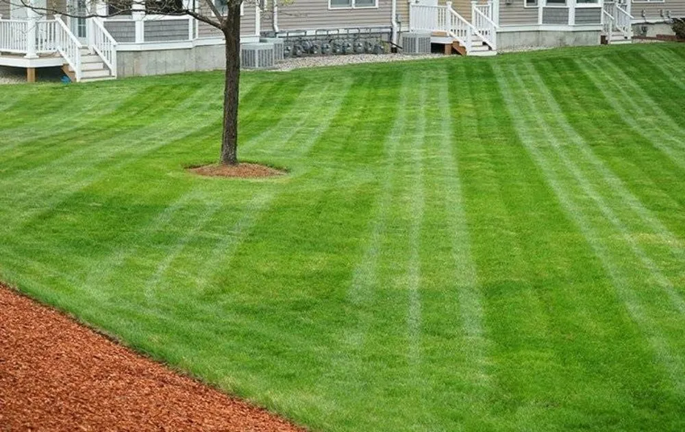 Trusted landscape installation experts serving Hobart, IN - Mr. Lawn Care Guy