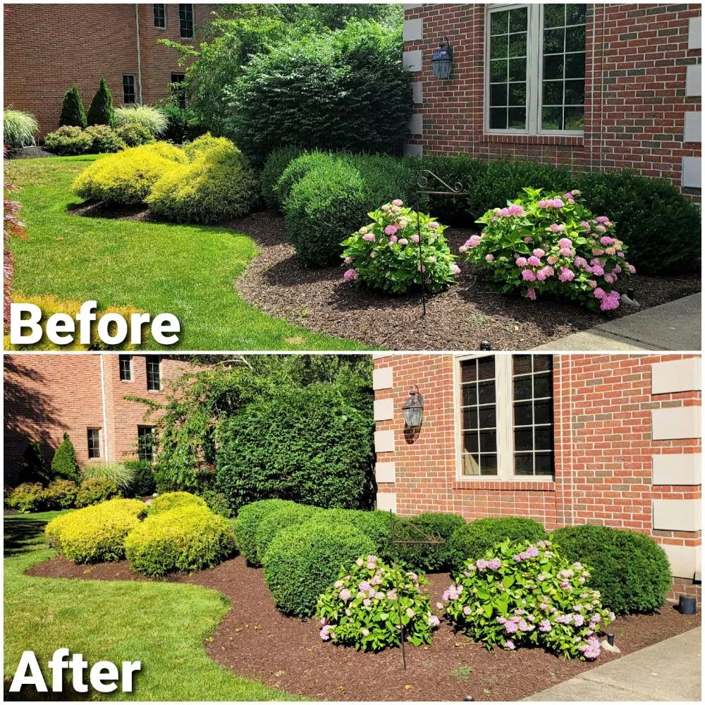 Professional yard maintenance for year-round maintenance in Olmsted Falls, OH by Mr Lawn Care