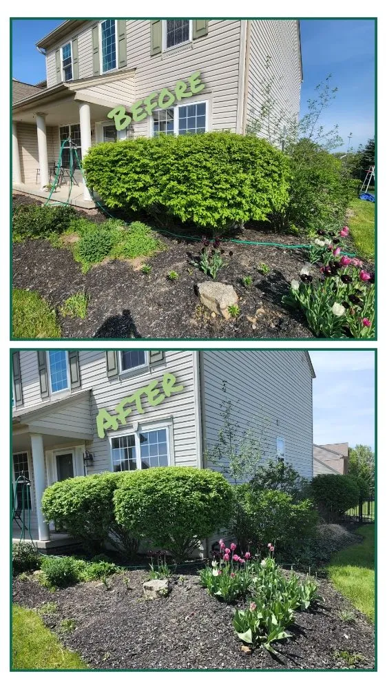 Professional landscaping services experts serving Olmsted Falls, OH - Mr Lawn Care