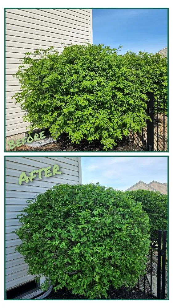 Custom residential landscaping in Olmsted Falls, OH - Mr Lawn Care