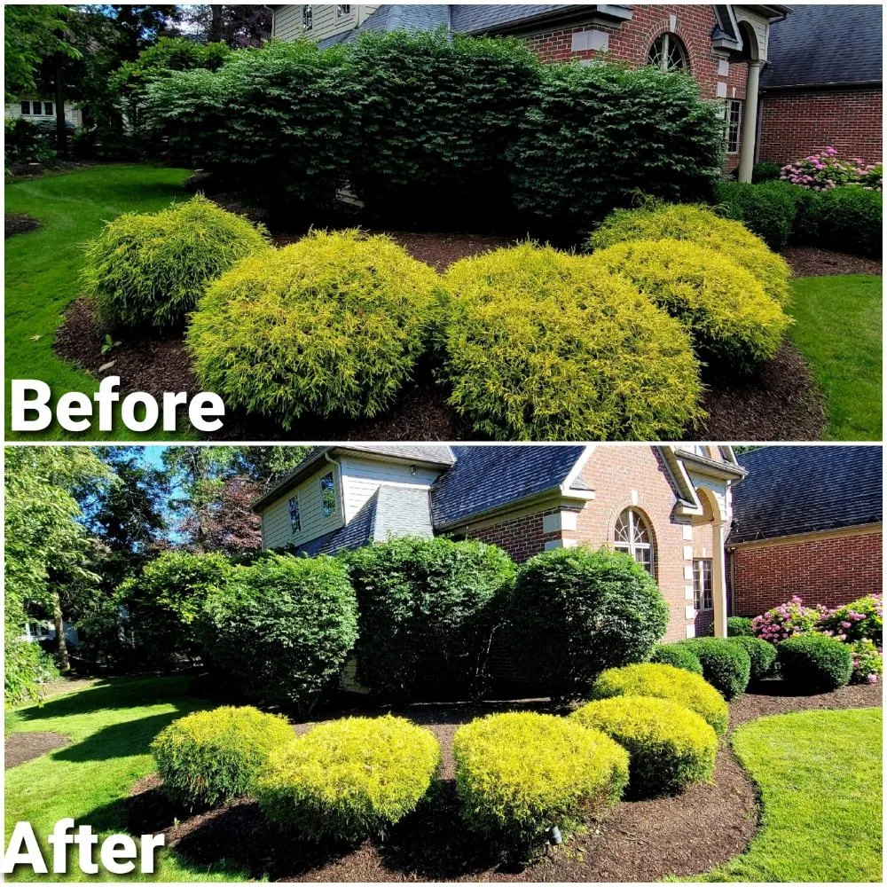 Professional landscaping services for homes across Olmsted Falls, OH - Mr Lawn Care