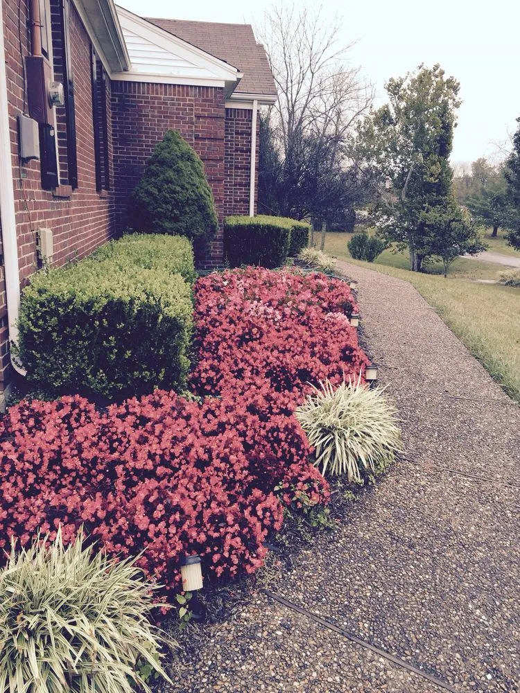 Reliable landscape installation experts serving La Grange, KY - Mr Lawn