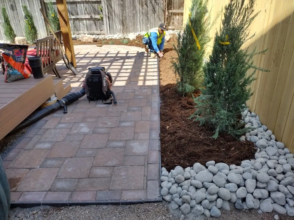 Professional yard maintenance experts serving Longmont, CO - M.R. Lawn Services