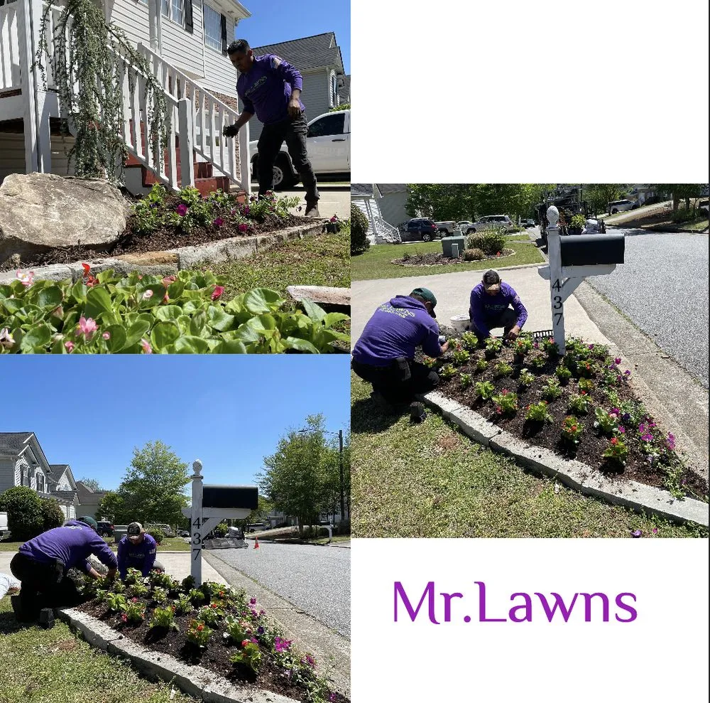 Top-rated landscaping services for beautiful yards in Kennesaw, GA by Mr Lawns