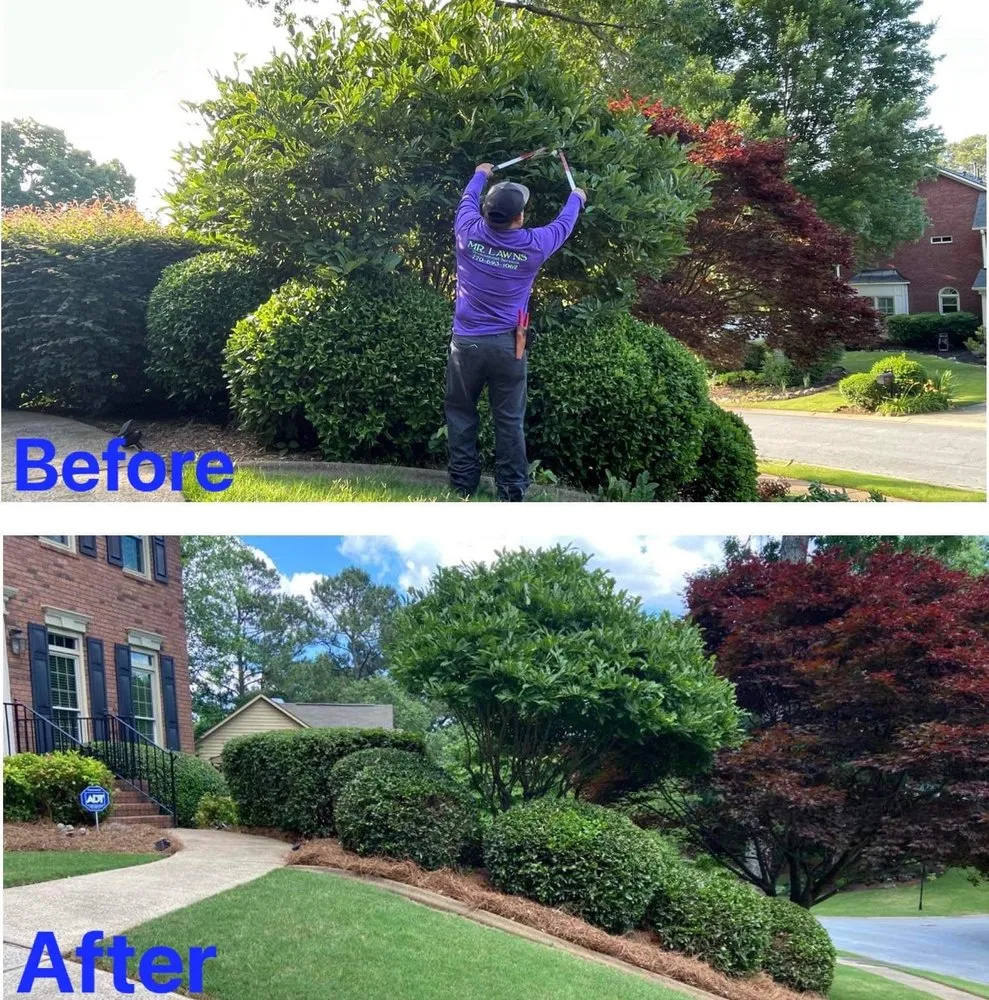 Local garden landscaping in Kennesaw, GA by Mr Lawns