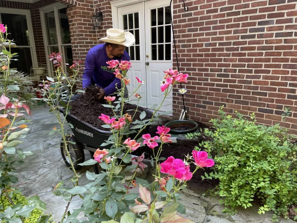 Affordable lawn mowing service in Kennesaw, GA by Mr Lawns