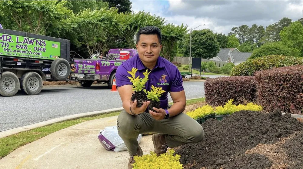 Professional landscape installation in Kennesaw, GA by Mr Lawns