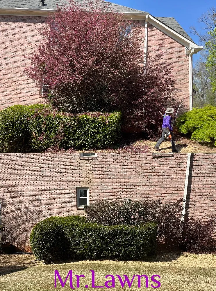 Affordable lawn care service in Kennesaw, GA - Mr Lawns