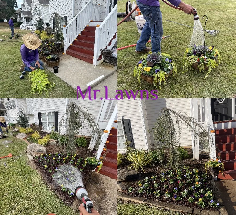 Trusted yard maintenance in Kennesaw, GA - Mr Lawns
