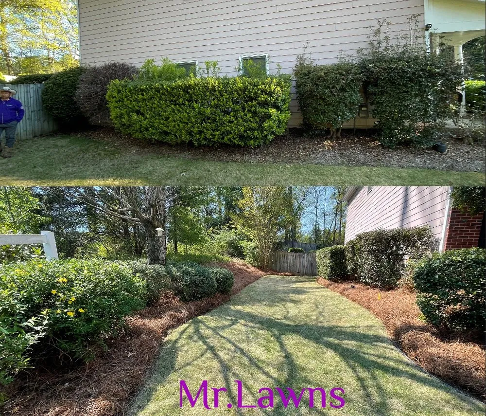 Trusted lawn care service for residential properties across Kennesaw, GA - Mr Lawns