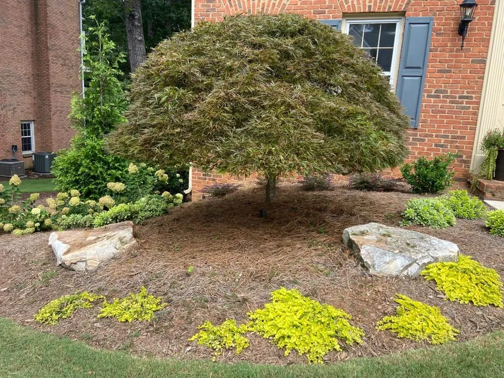 Reliable outdoor landscaping experts serving Kennesaw, GA - Mr Lawns