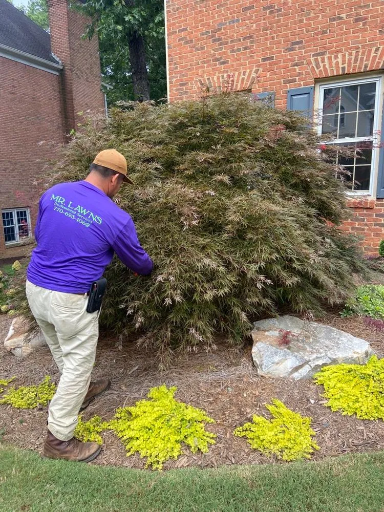 Professional yard cleanup service in Kennesaw, GA - Mr Lawns