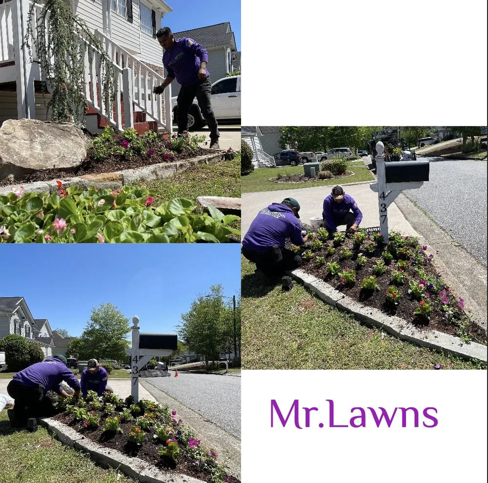 Expert residential landscaping experts serving Kennesaw, GA - Mr Lawns