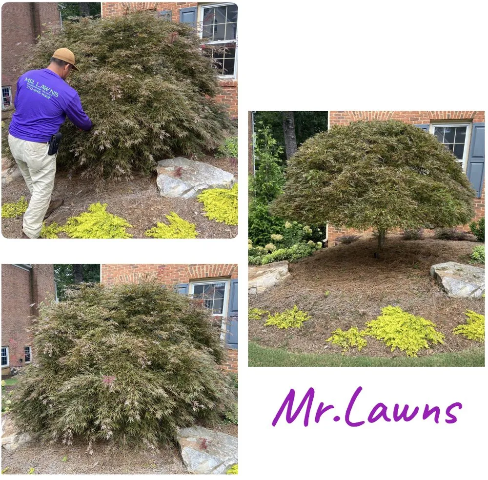 Affordable lawn mowing service for beautiful yards across Kennesaw, GA - Mr Lawns