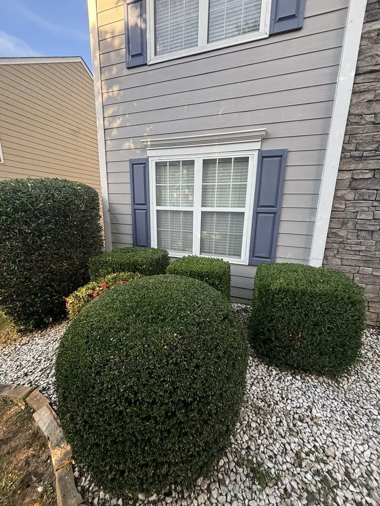 Reliable garden landscaping in Kennesaw, GA by Mr Lawns