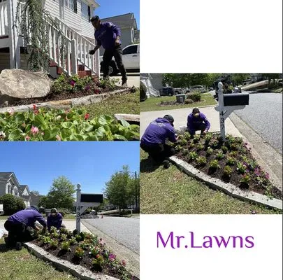 Mr Lawns Logo