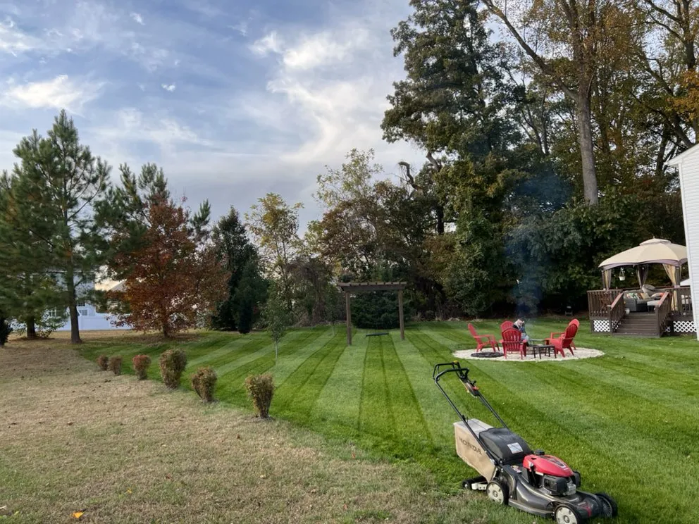 Top-rated residential landscaping experts serving Magnolia, DE - mr lawns