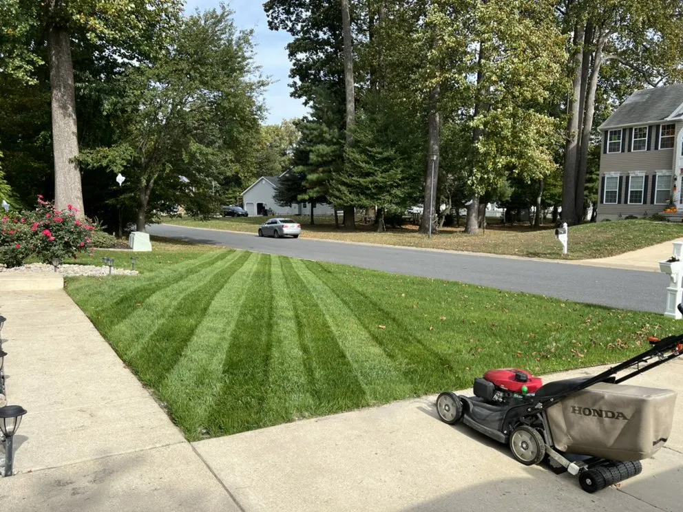 Top-rated residential landscaping in Magnolia, DE - mr lawns