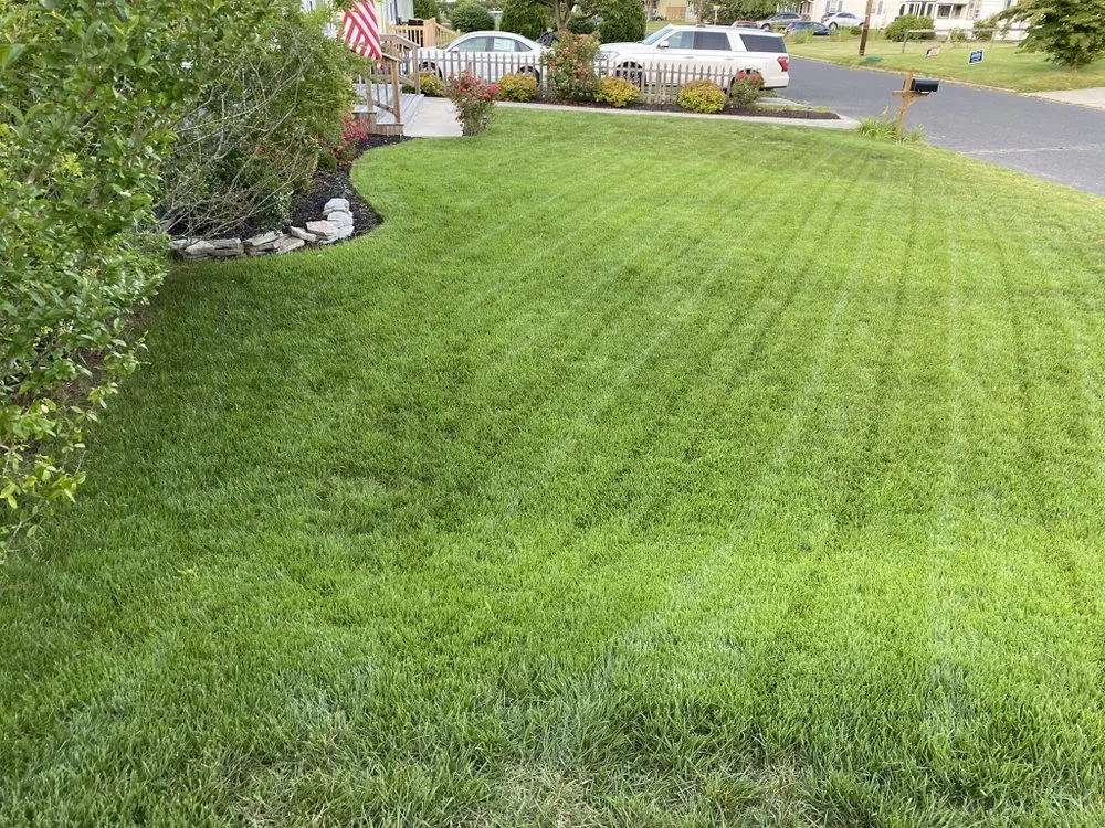 Top-rated lawn mowing service near you across Magnolia, DE - mr lawns