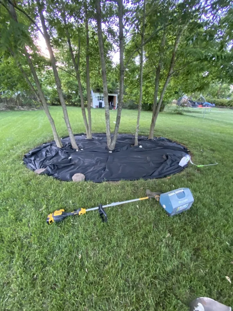 Local landscape design in Magnolia, DE by mr lawns