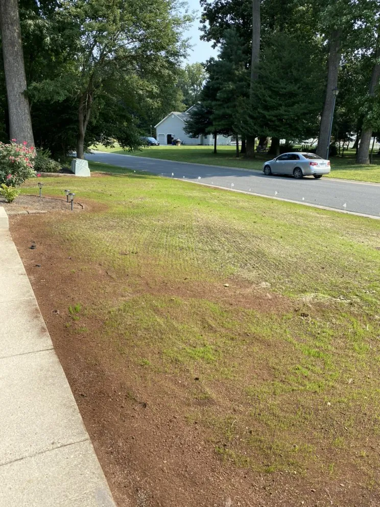 Top-rated outdoor landscaping for year-round maintenance in Magnolia, DE by mr lawns