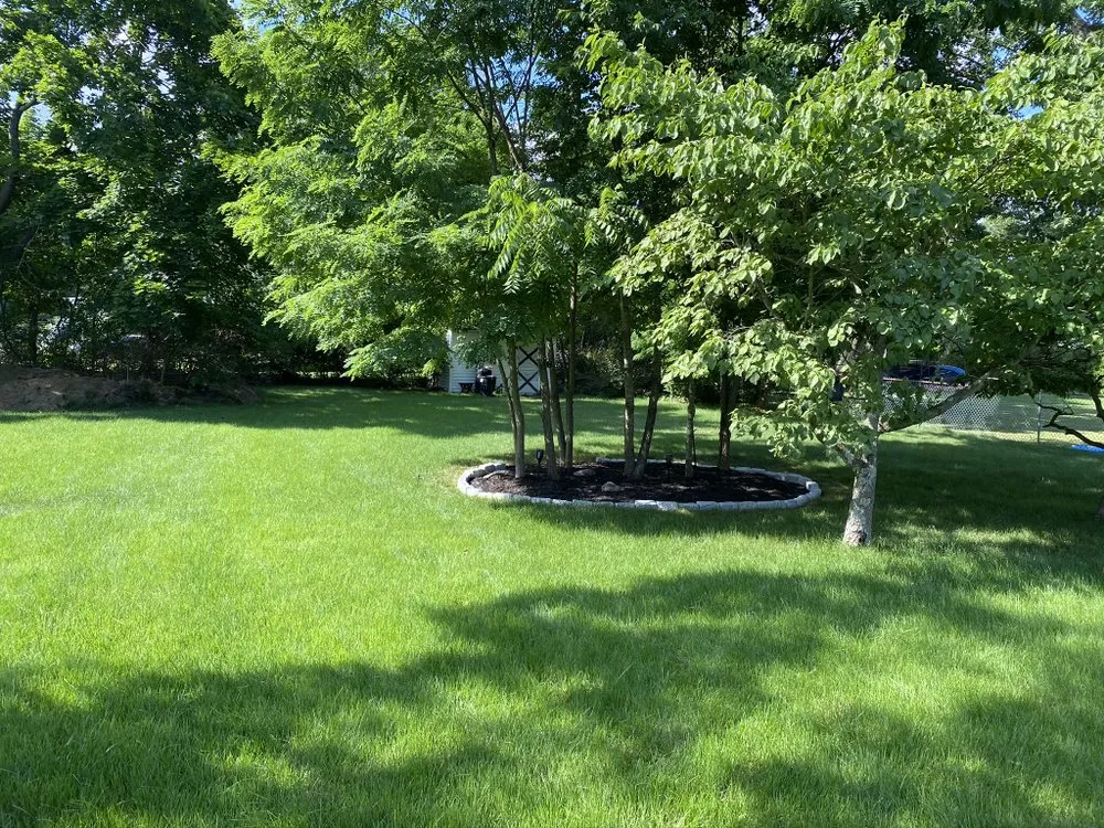 Professional lawn care service in Magnolia, DE - mr lawns