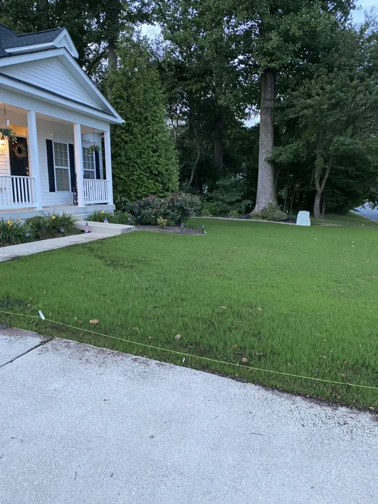Trusted landscaping services in Magnolia, DE - mr lawns