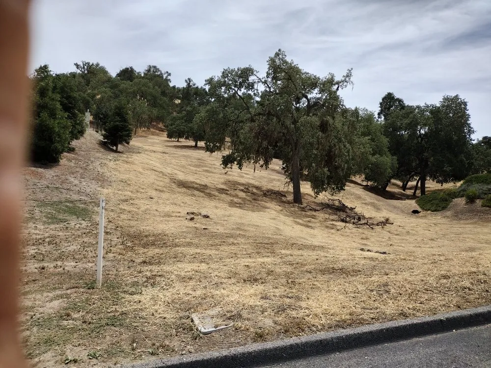 Professional yard maintenance in Atascadero, CA by Mr. Lincoln Landscaping