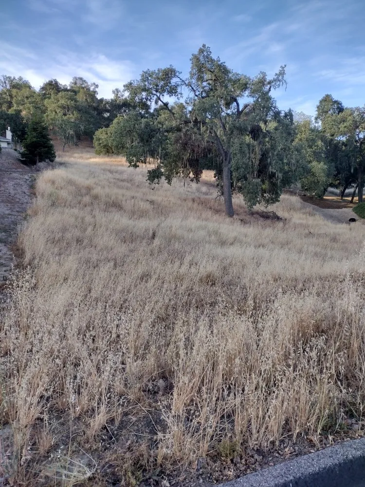 Local yard cleanup service in Atascadero, CA - Mr. Lincoln Landscaping