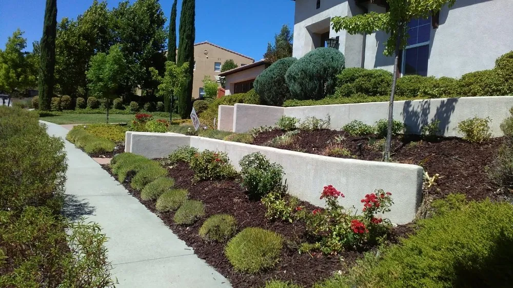 Local garden landscaping near you across Atascadero, CA - Mr. Lincoln Landscaping