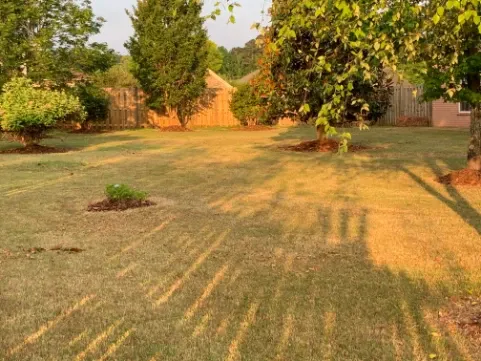 Custom garden landscaping in Decatur, AL by Mr Lopez Lawn Care