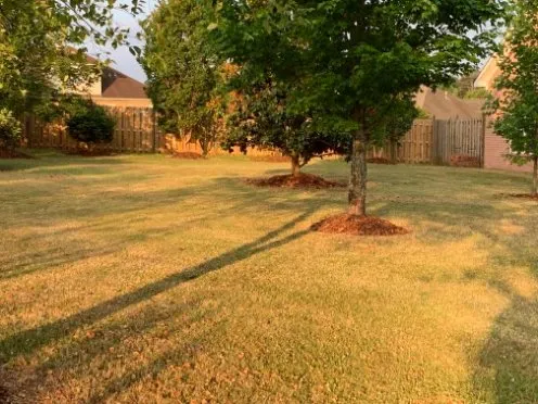 Mr Lopez Lawn Care Logo