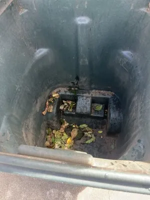 Mr Lucero’s Landscaping & Tree Service Logo