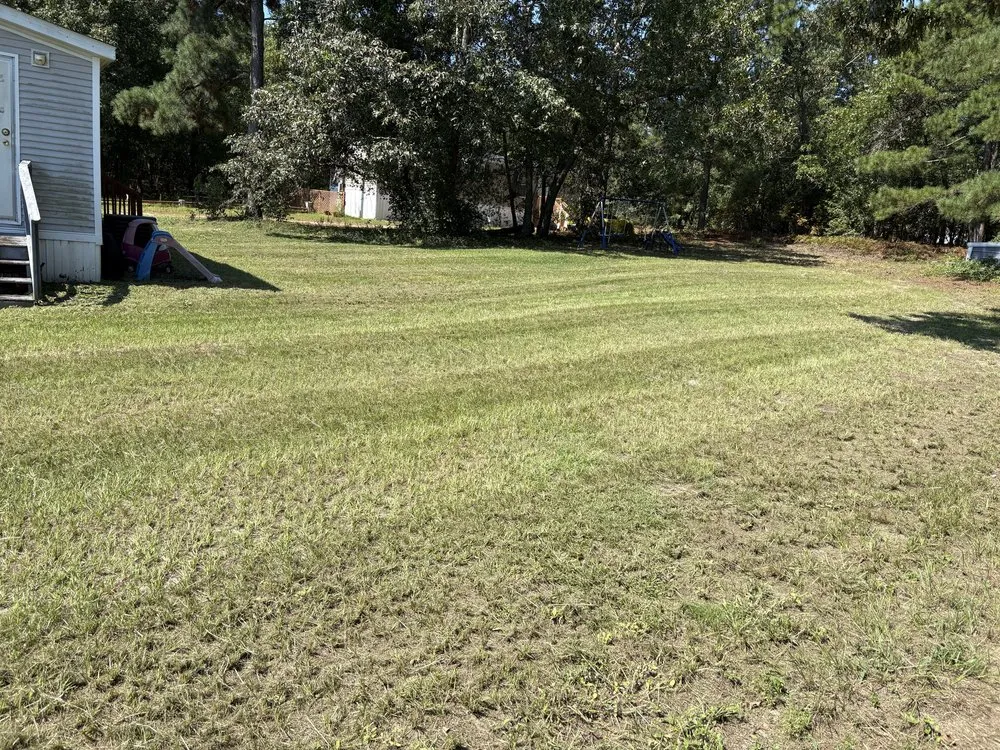 Expert yard maintenance experts serving West Columbia, SC - Mr MakeItHappen