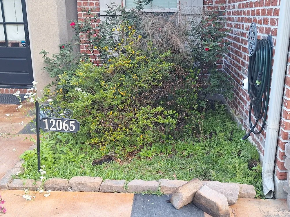 Custom yard cleanup service in Ponchatoula, LA - Mr Manicure