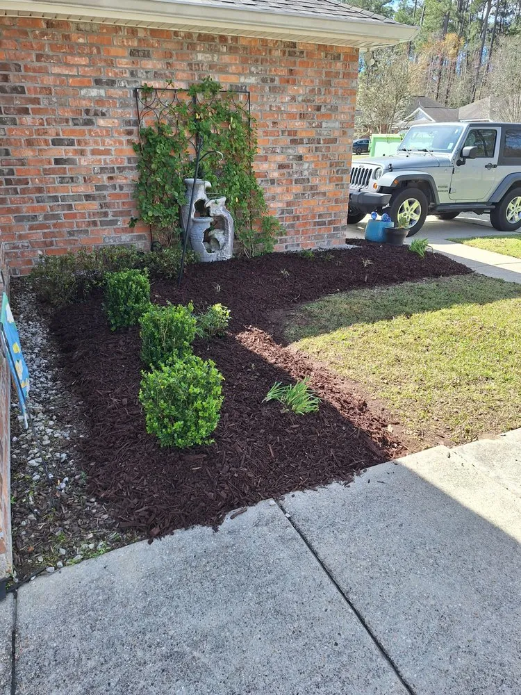 Reliable yard cleanup service experts serving Ponchatoula, LA - Mr Manicure