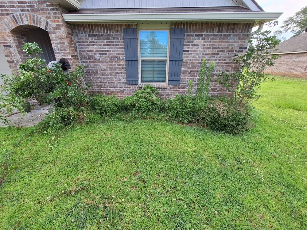 Local landscaping services in Ponchatoula, LA by Mr Manicure