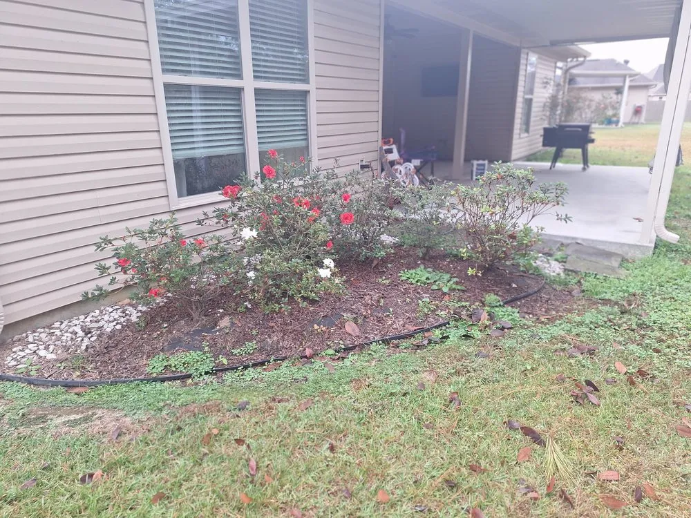 Expert lawn care service near you in Ponchatoula, LA by Mr Manicure