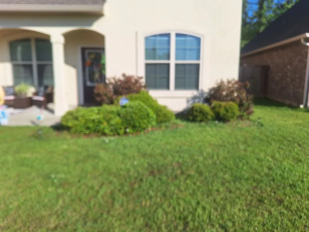 Affordable yard cleanup service in Ponchatoula, LA by Mr Manicure