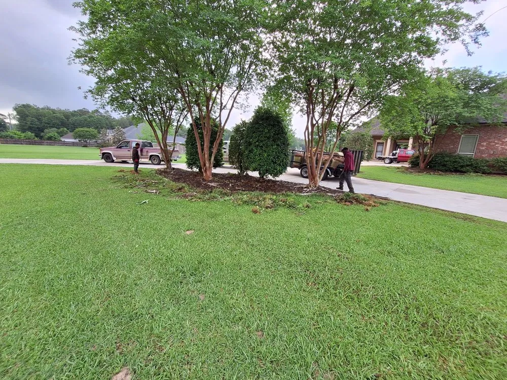 Reliable landscaping services for beautiful yards across Ponchatoula, LA - Mr Manicure