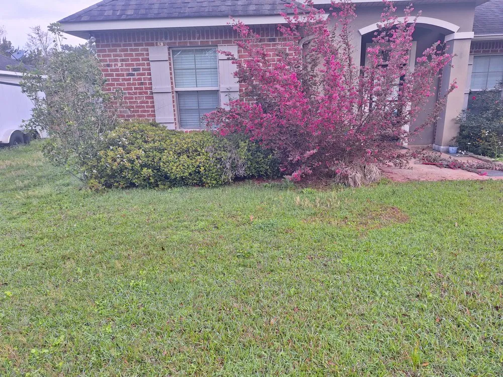 Trusted yard maintenance for residential properties in Ponchatoula, LA by Mr Manicure