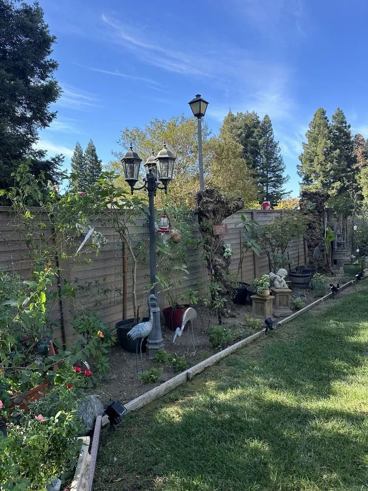 Custom yard maintenance in Richmond, CA by Mr Martin Landscape