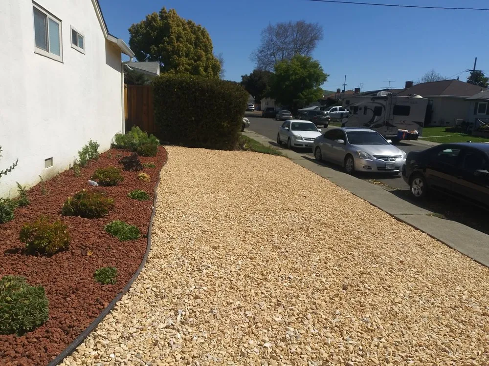 Top-rated landscape design in Richmond, CA - Mr Martin Landscape