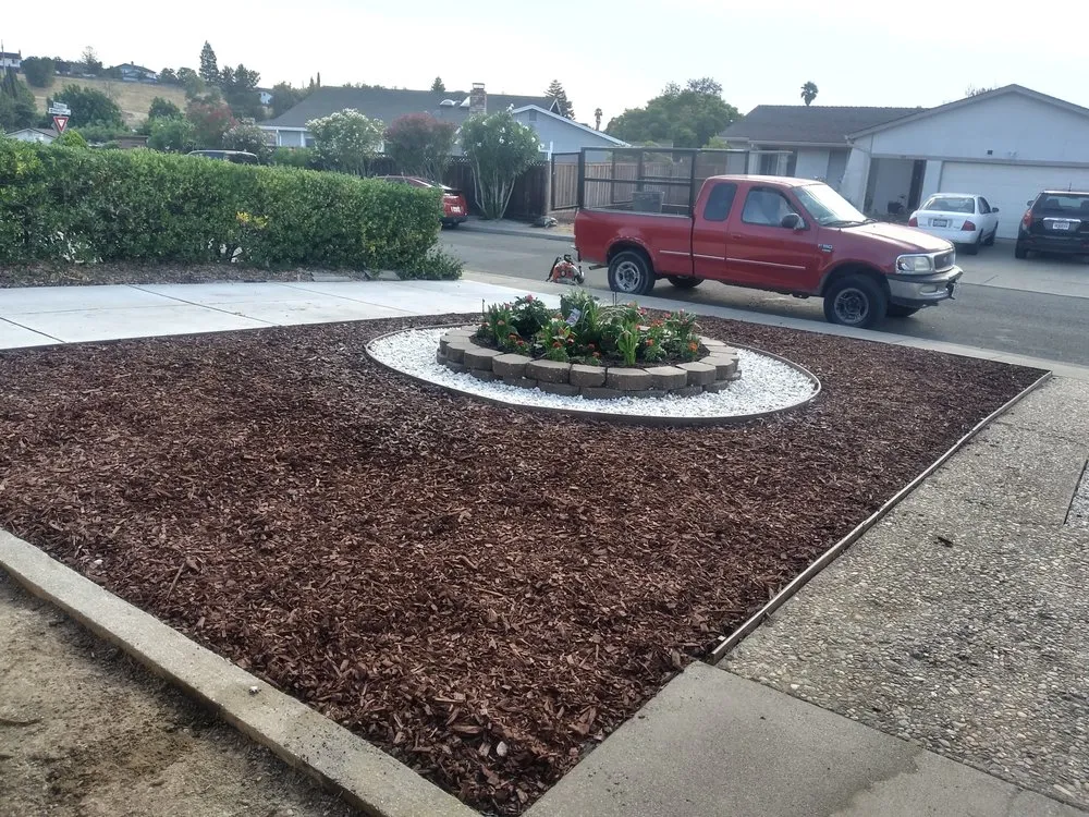 Professional landscaping services in Richmond, CA - Mr Martin Landscape