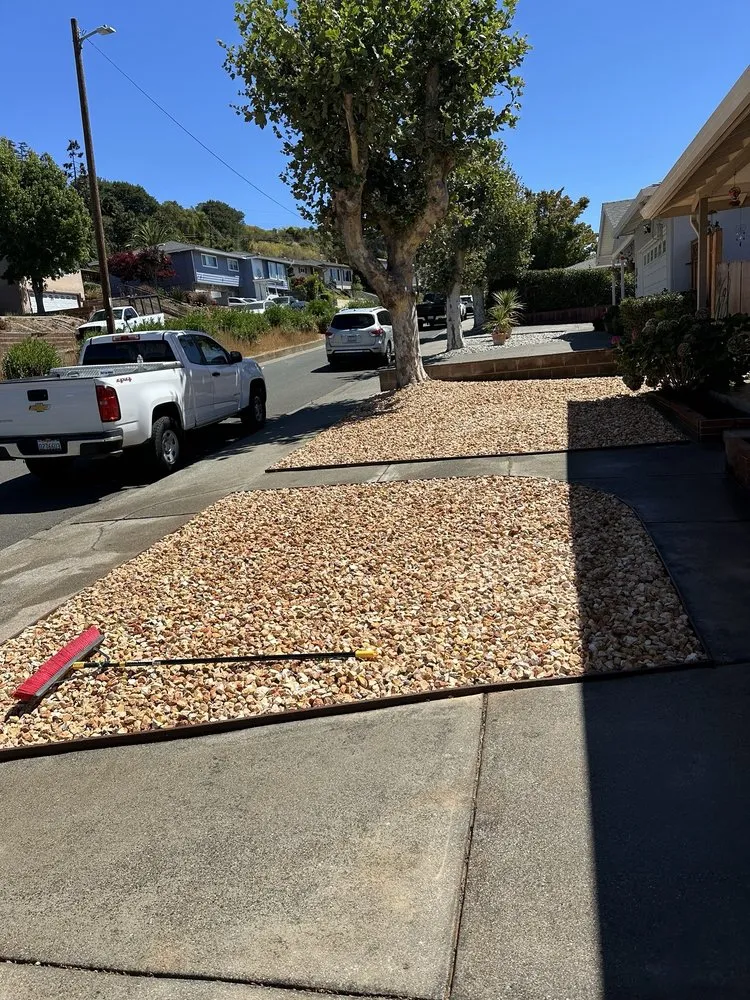 Local landscaping services in Richmond, CA - Mr Martin Landscape