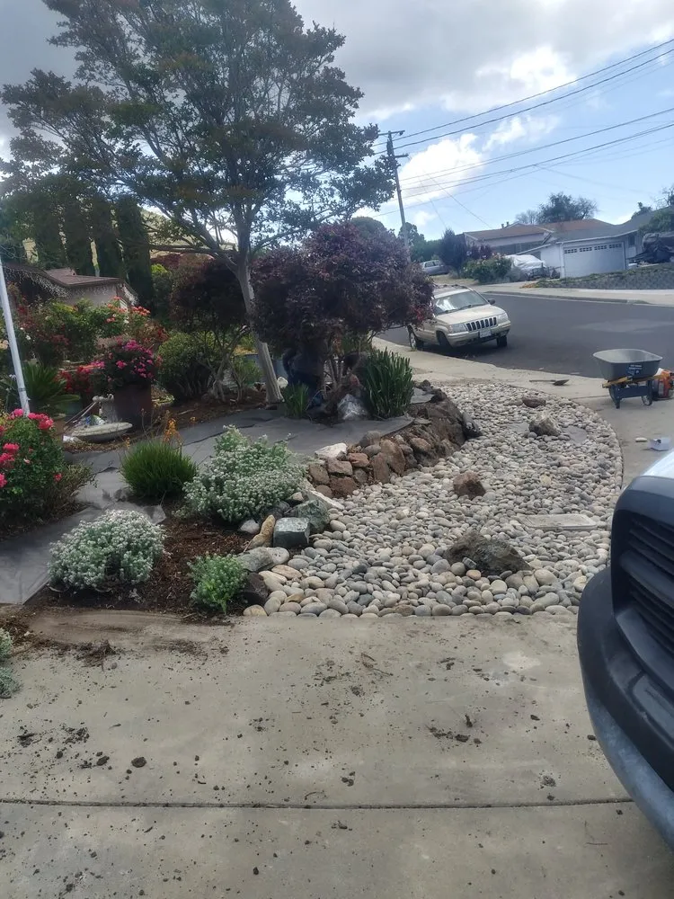 Top-rated landscape installation for year-round maintenance in Richmond, CA by Mr Martin Landscape